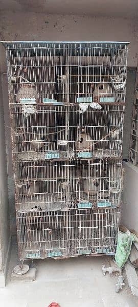 8 portion cage for sale