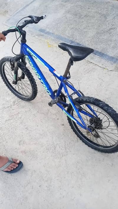 Cycle