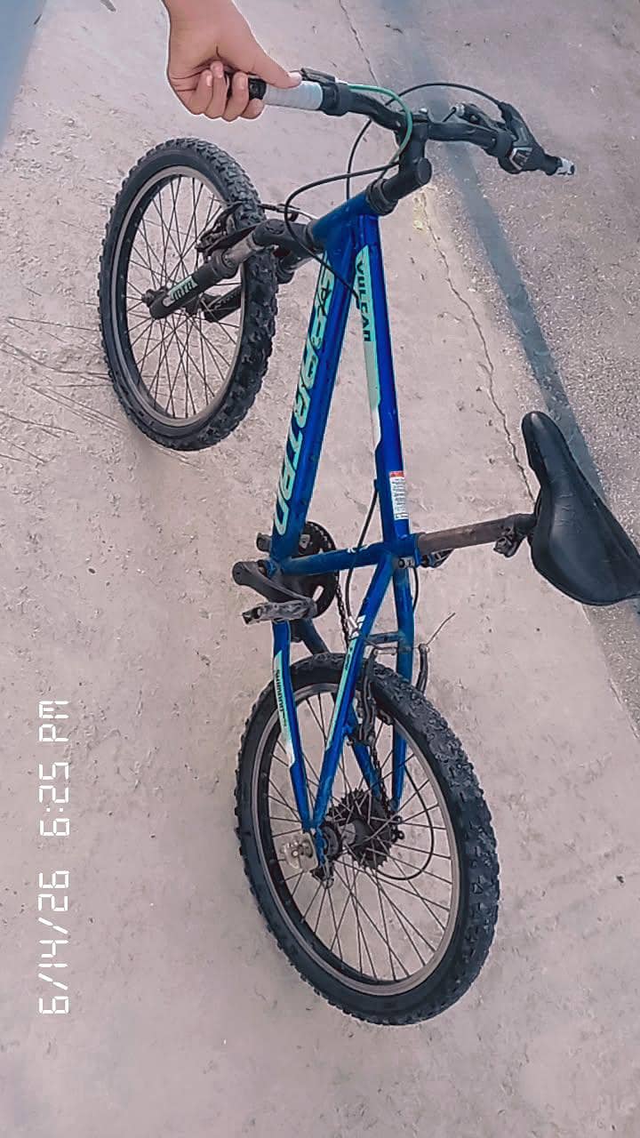 Cycle 2