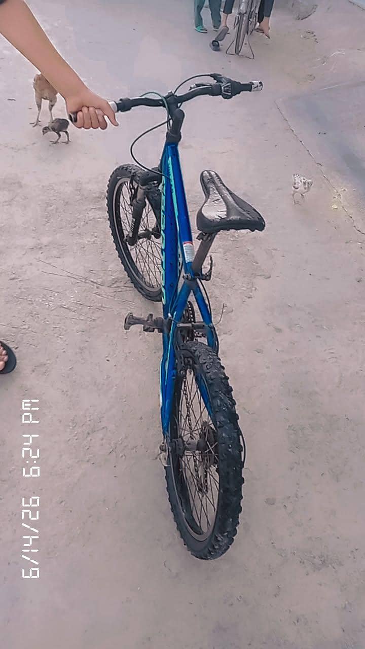 Cycle 3
