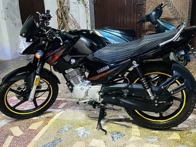 Yamaha YBR135 black 2020
