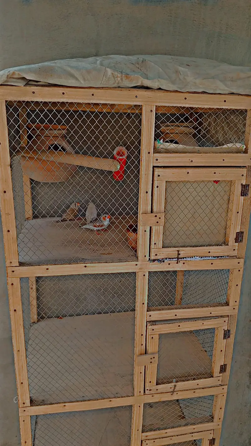 teen partition ka pinjra new h 3500 — photo 2