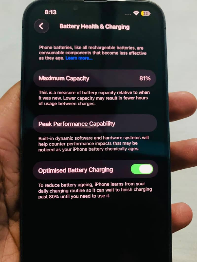 Apple iPhone 13 Pro 12