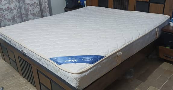 Master Celeste (Alpha) King Size
