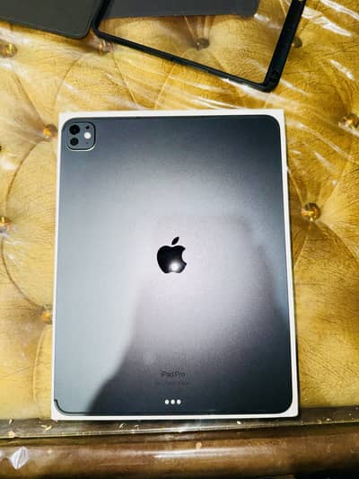 Ipad Pro M4 13 inch 256GB