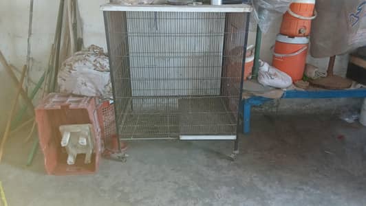 parrot cage