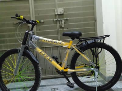 Phoenix Fat Tire Bicycle – Brand New