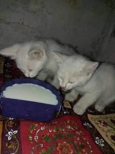 2 kids with mother