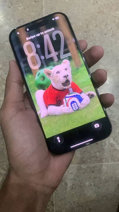 Apple iPhone 16 Pro