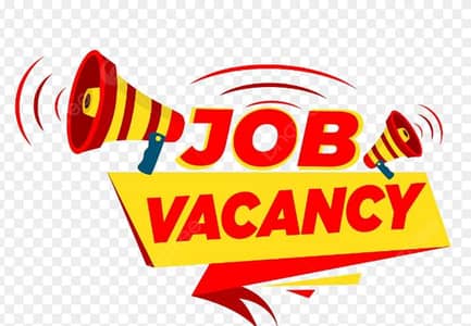 HR Assistant required in Sundar Industrial Estate
