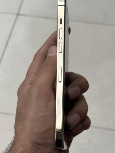 Apple iPhone 12 Pro Max Factory Unlocked Non Pta