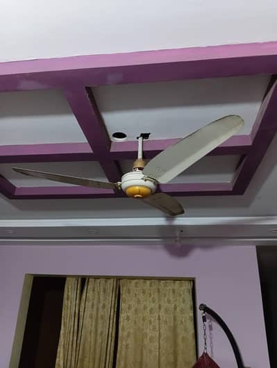 2 Royal fans for sale