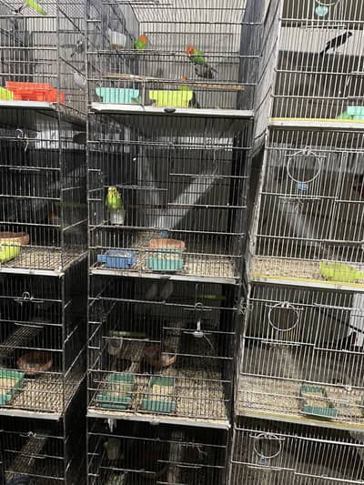 Used cages for sale