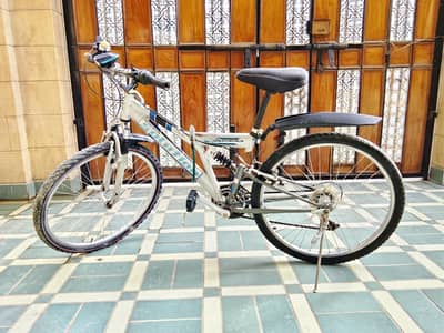 Japanese cycle