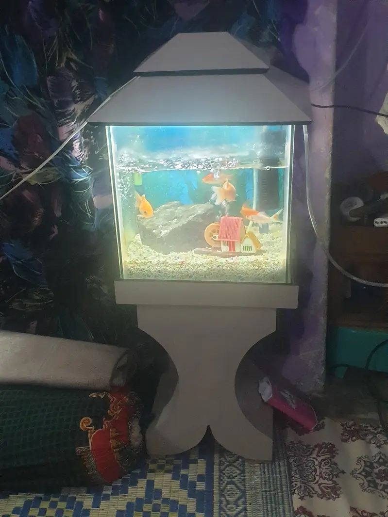 aquairam with gold fishes — photo 2