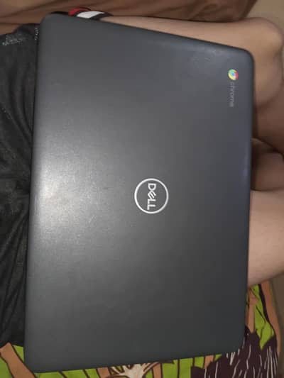 chrome book dell 3100