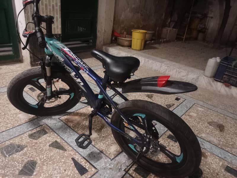 Bicycle 1