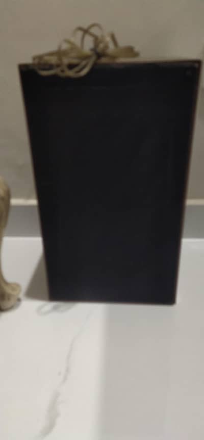 national Panasonic speakers