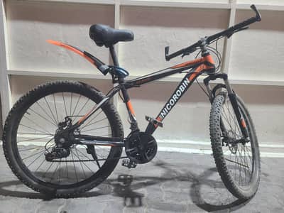 Mountain Bike