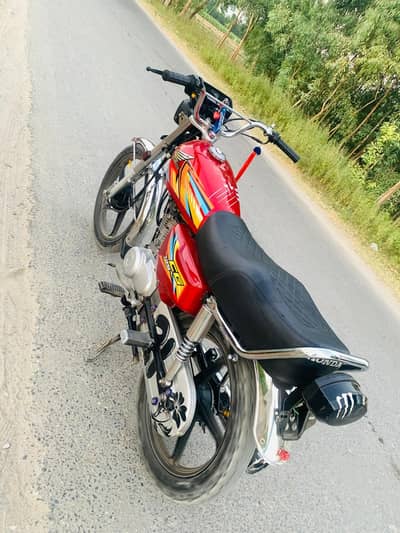 number 03149631142