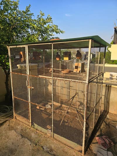 Bird Cage / Aviary