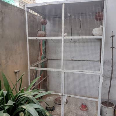 finches cage