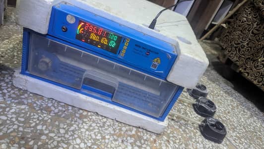  70 Eggs Automatic Mini Incubator for Sale 
