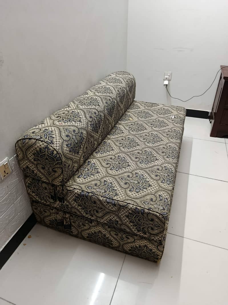 Sofa cum bed 1