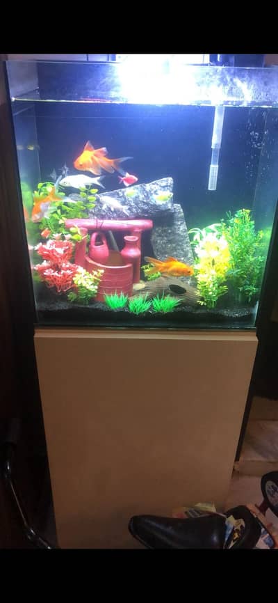 Aquarium