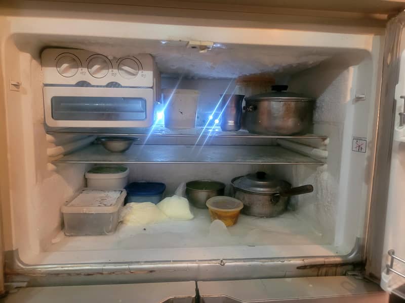 fridge 2