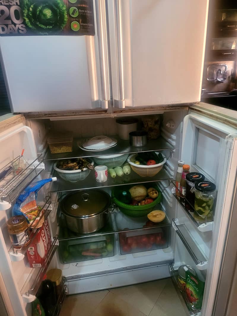 fridge 3