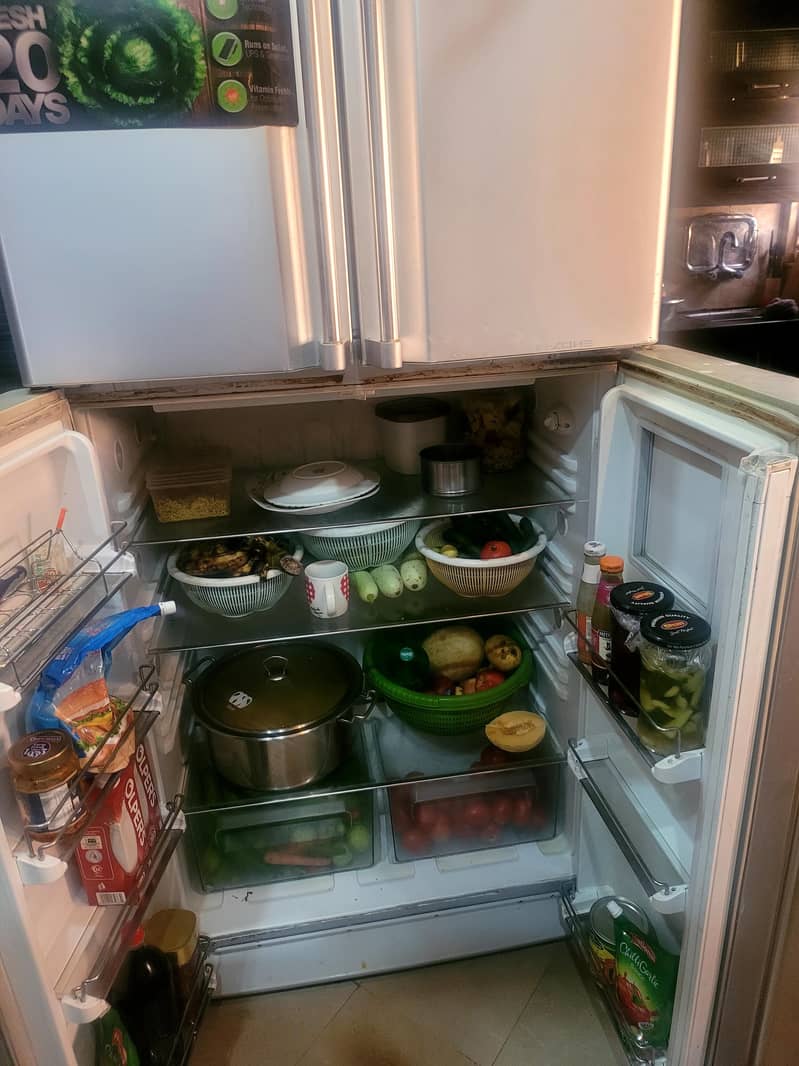 fridge 4