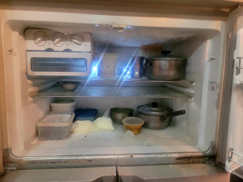fridge 5