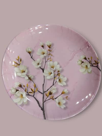 HIGH QUALITY KITCHEN PLATES