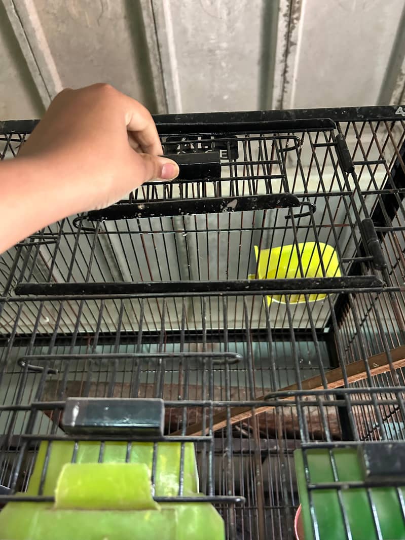 CAGES 0