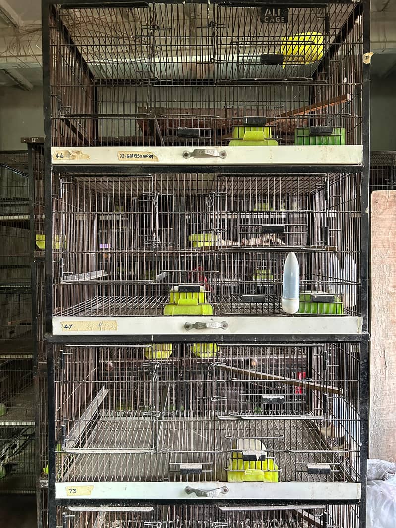 CAGES 1