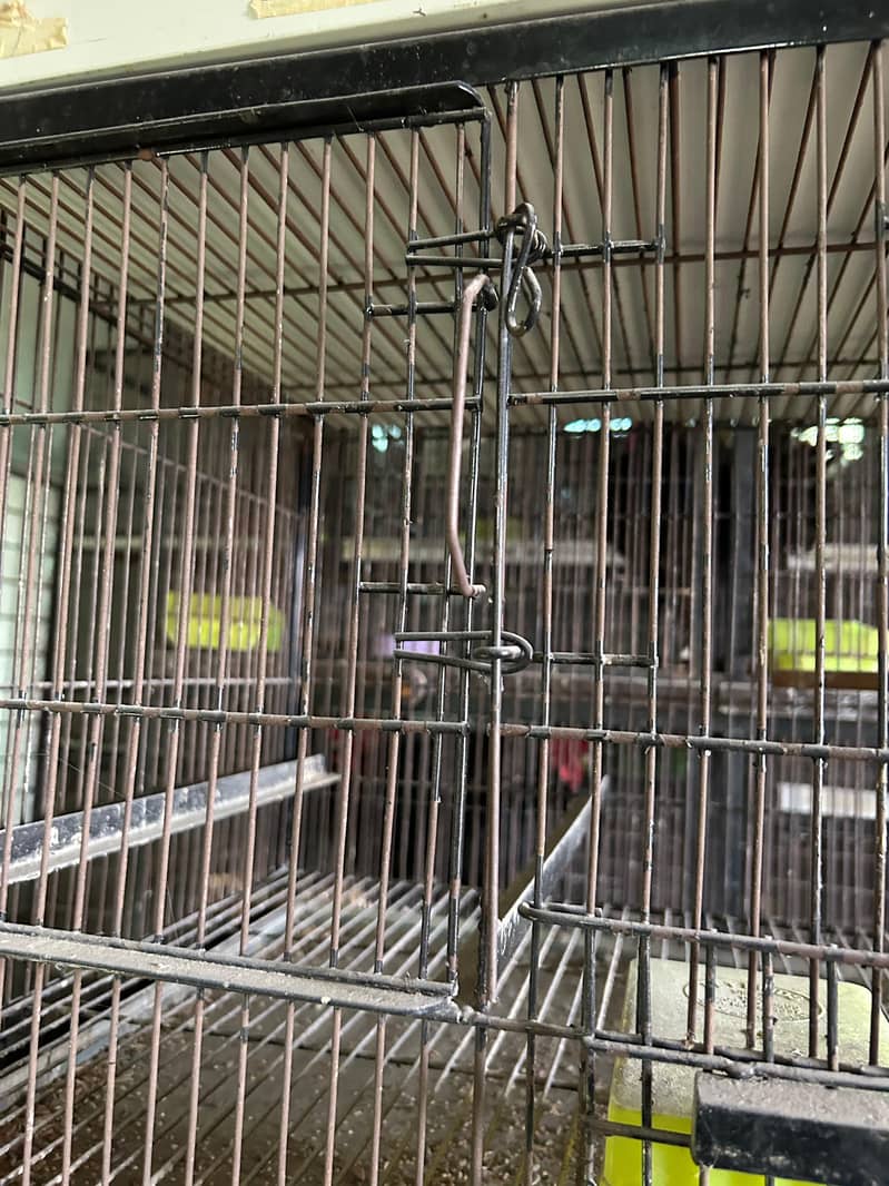 CAGES 5