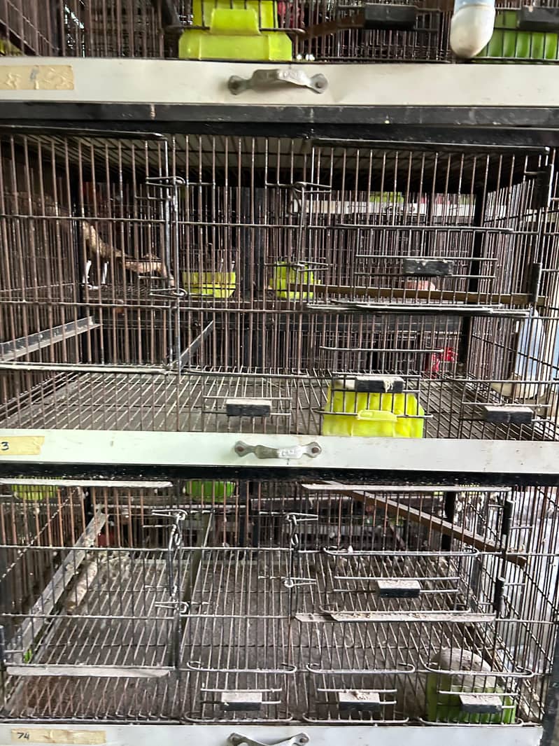 CAGES 8