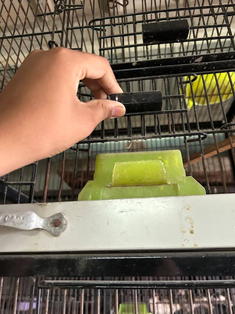 CAGES 9