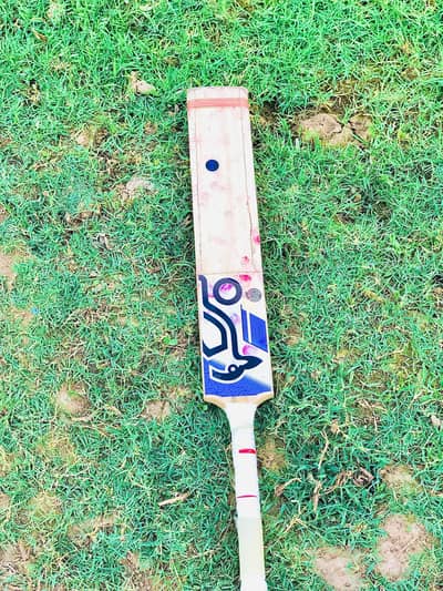 hard ball cricket bat