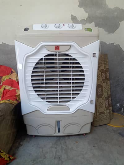 bulkul OK h new h