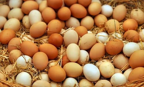 Golden misri eggs
