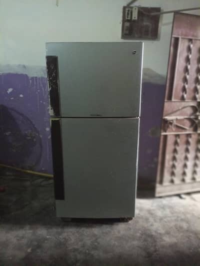 pel Desire refrigerator
