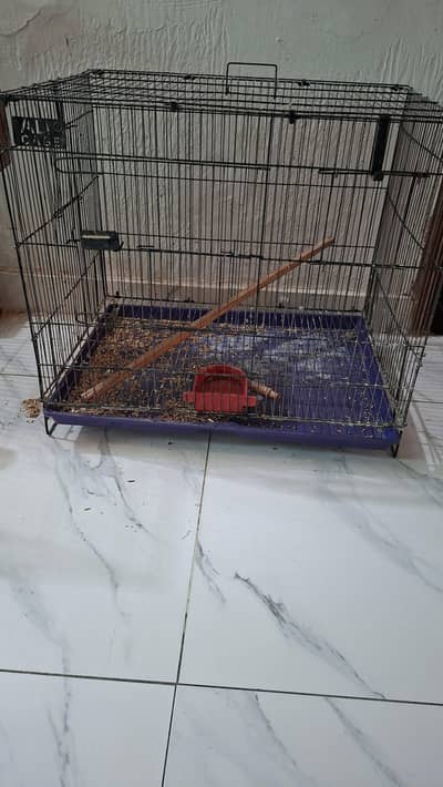 birds cage