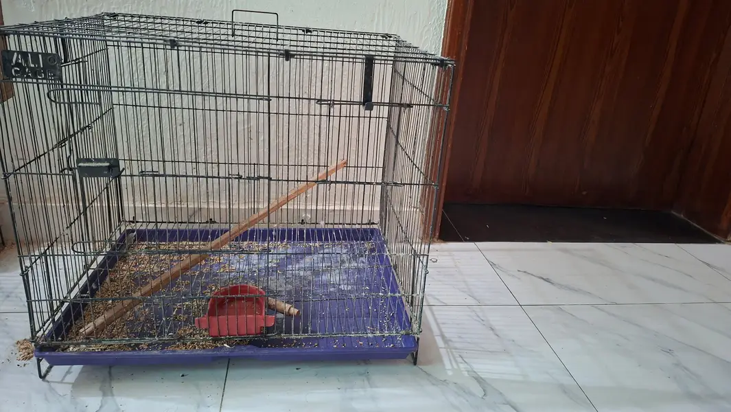 birds cage — photo 2
