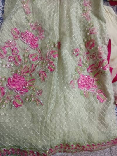Small size light green colour