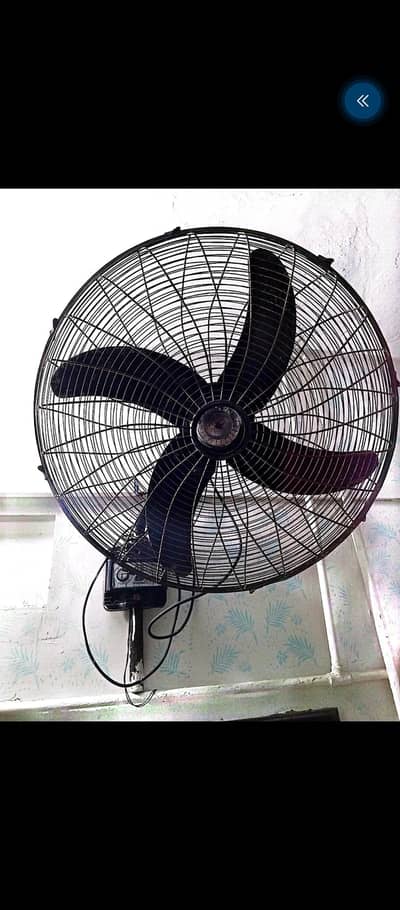 Orient Fan
