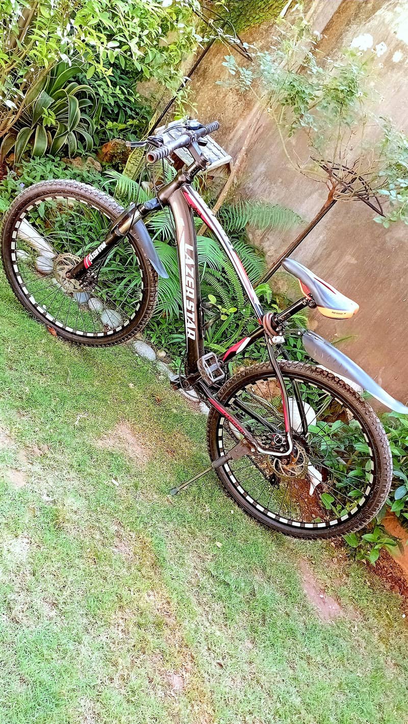 Mountain Bicycle 1