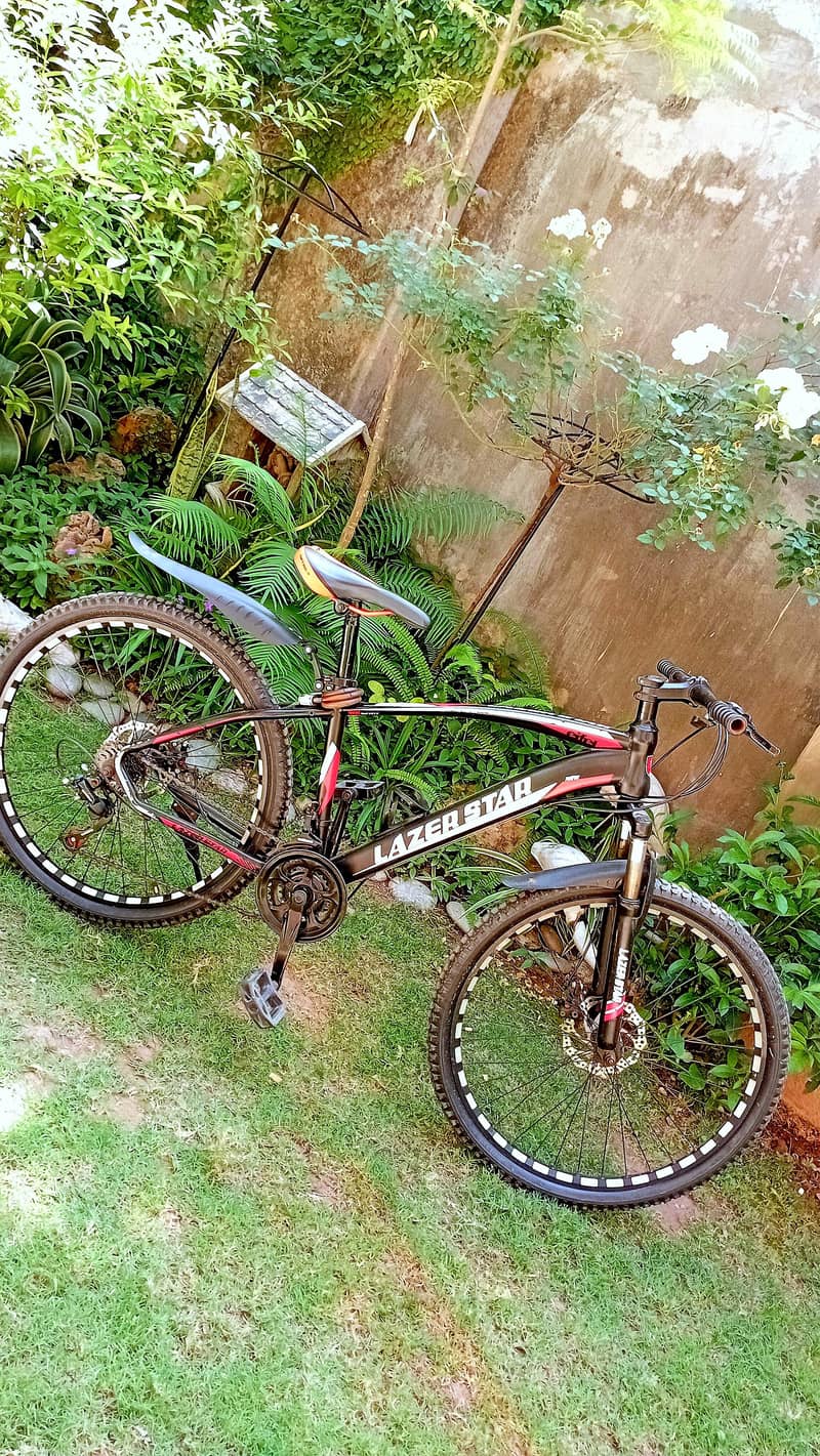 Mountain Bicycle 2
