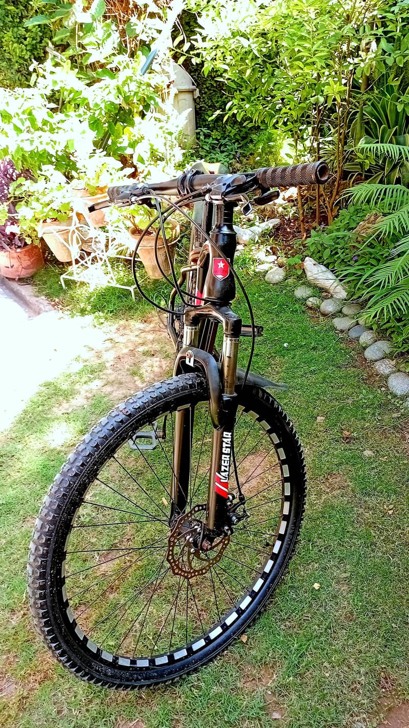 Mountain Bicycle 8